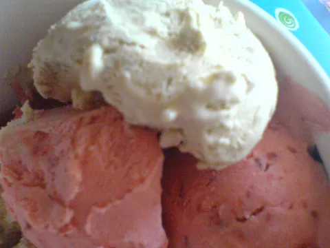 Voćni sladoled