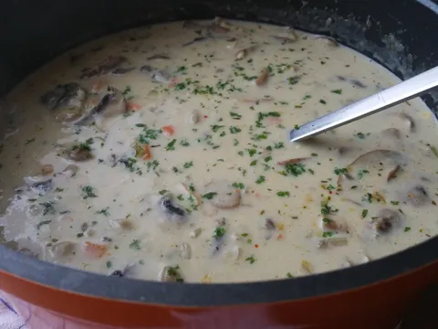 krem supa od gljiva i piletine