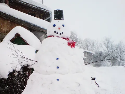 Snješko Bjelić :)