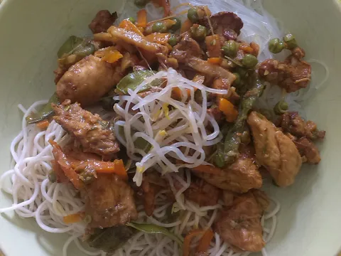 (Fant)azija- orientalni wok