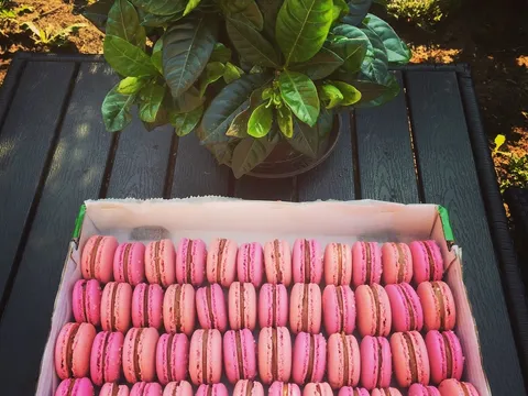 Macarons By Perina