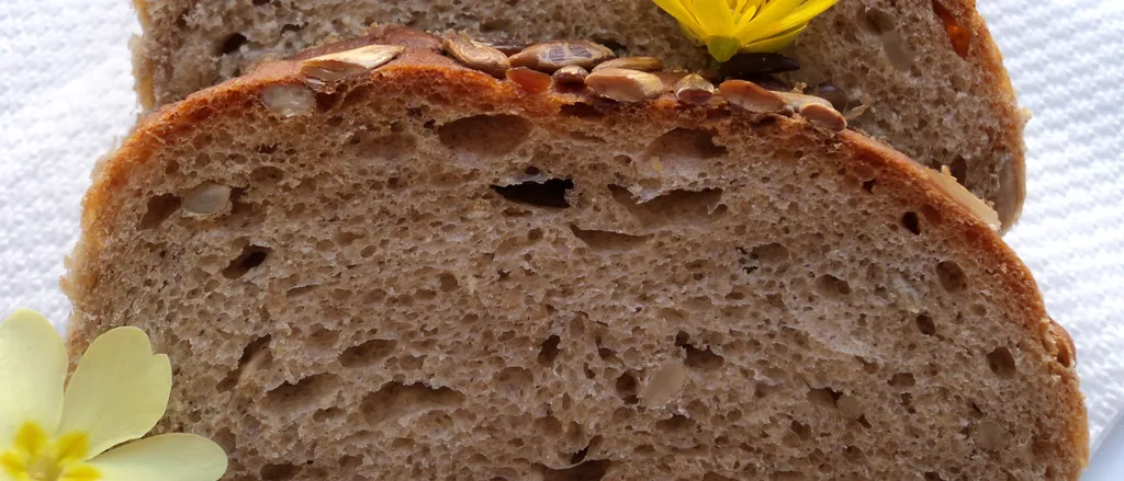 Kruh sa orasima
