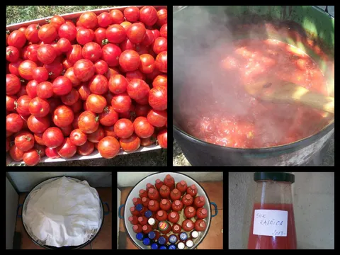 Ukuhane rajčice