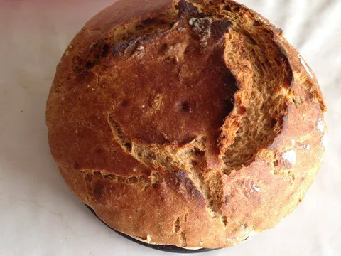 Domaći hrono kruh (tzv. Rajkin kruh koji sam prilagodila hrono ishrani)
