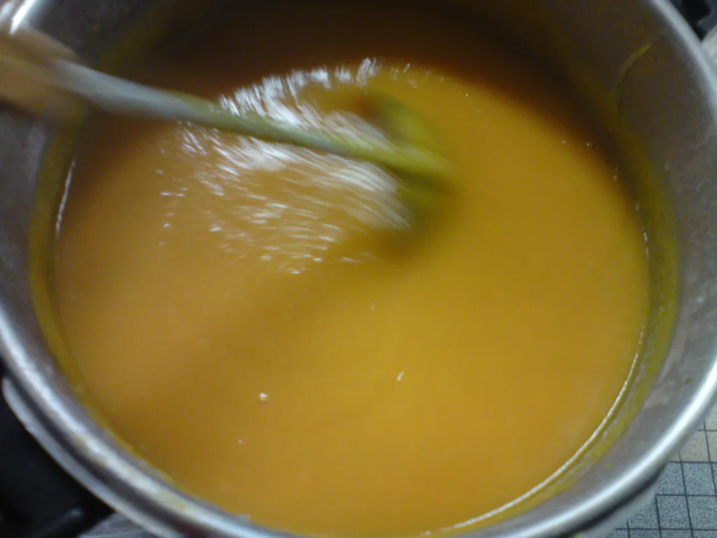 Francuska supa narandzasta od :sargarepe,praziluka i krompira