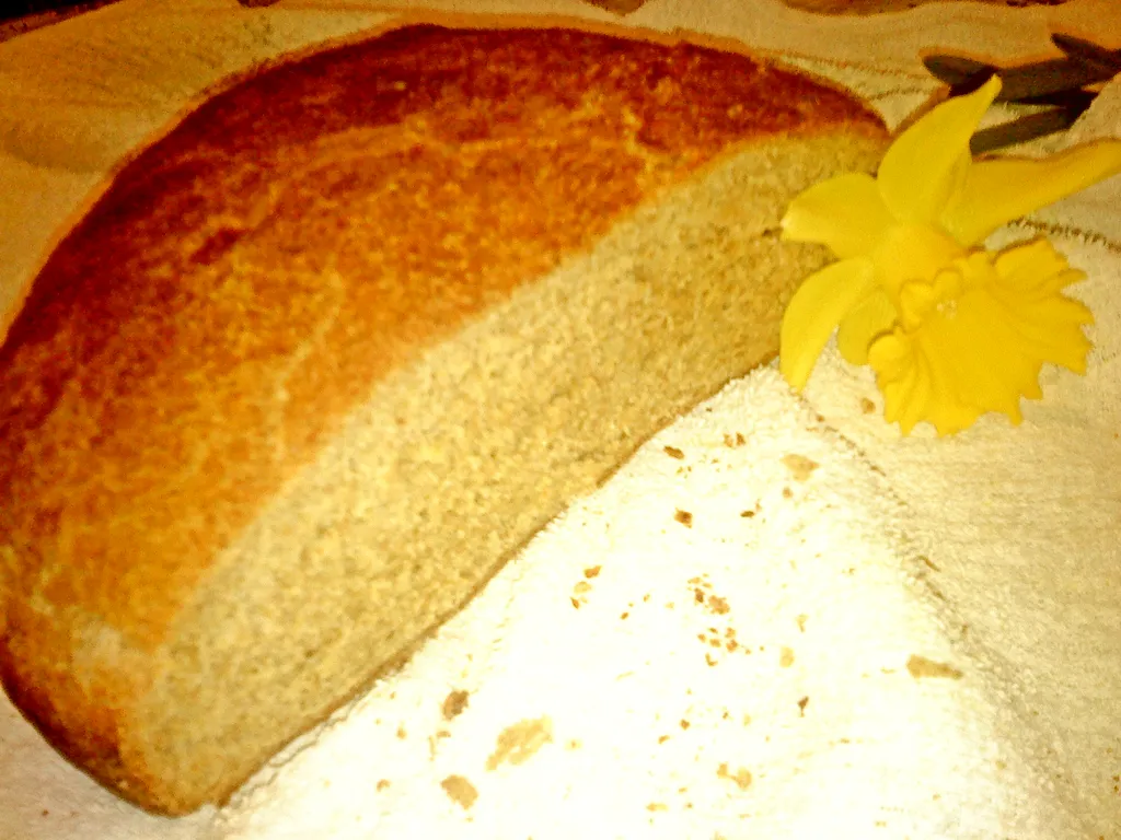 Graham kruh s kukuruzom