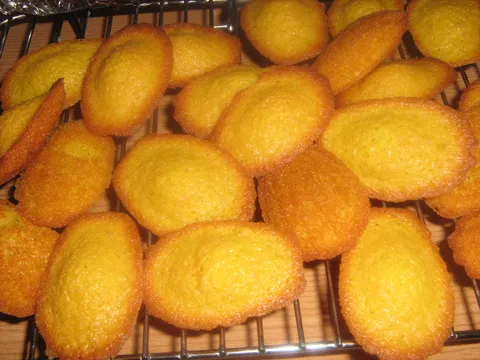 Classic Madeleines (Madeleines Classiques)