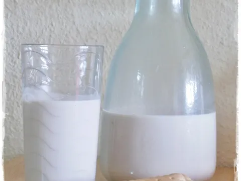 Mleko od orasastih plodova