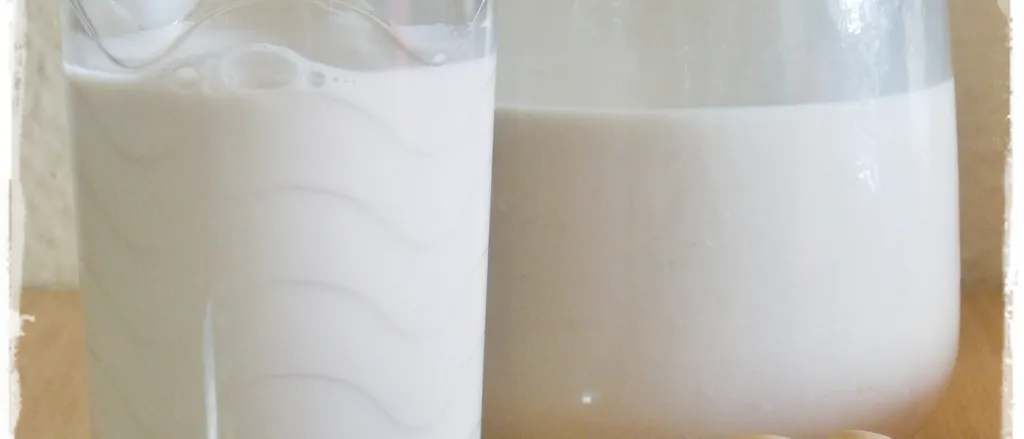 Mleko od orashida