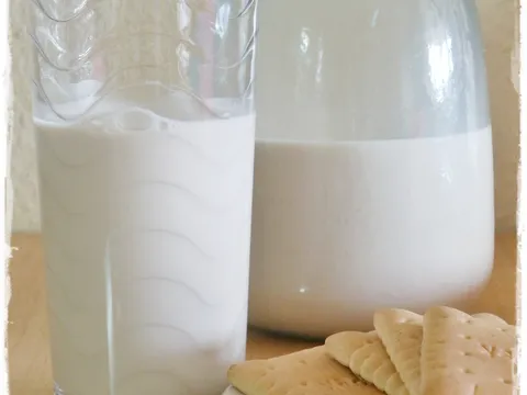 Mleko od orasastih plodova