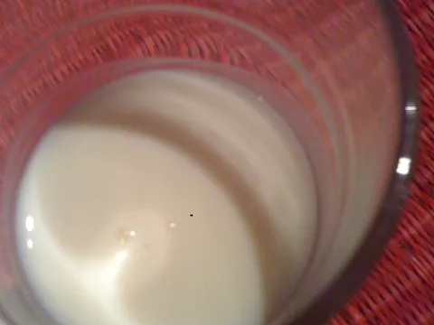 Jogurt od soje