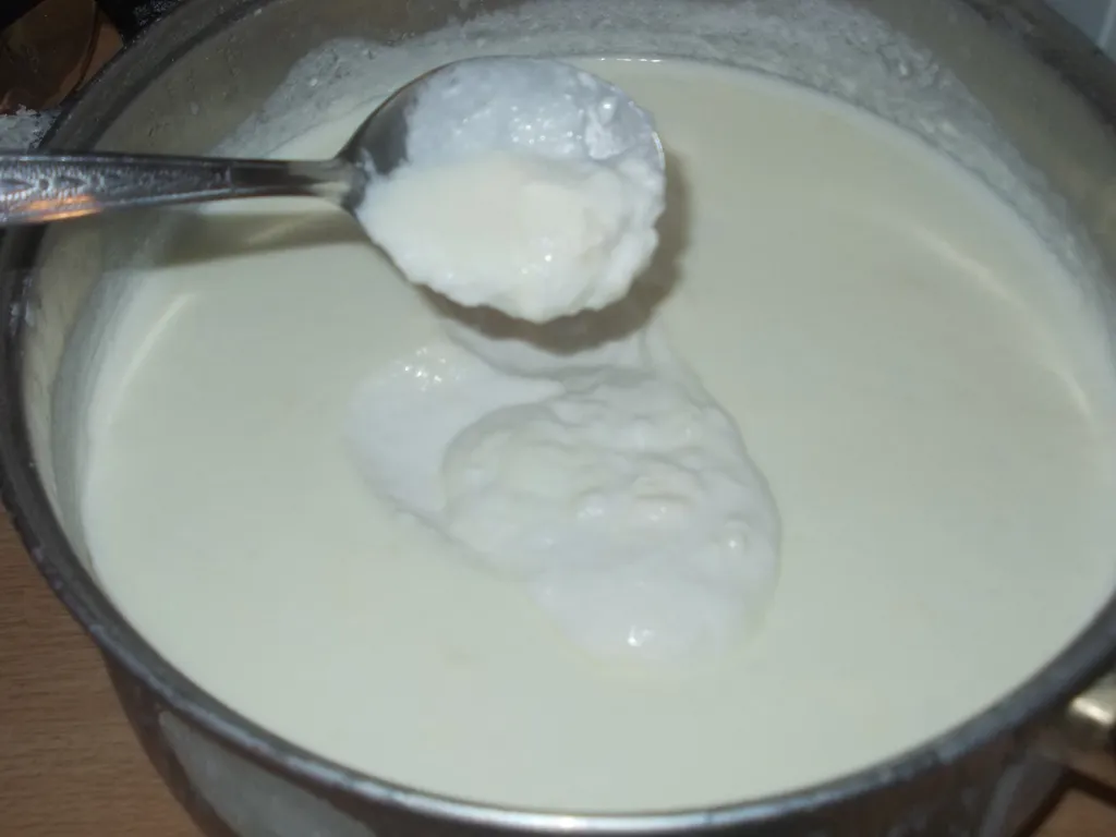 Domaci jogurt by Nevacka...