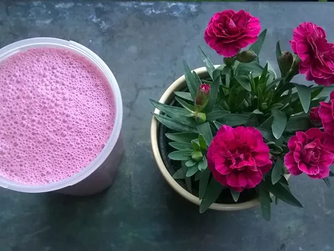 roza uživancija smoothie