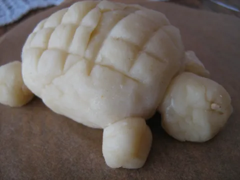 Jestiva kornjača prije pečenja