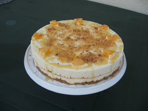 White tender cheesecake by Omnia
