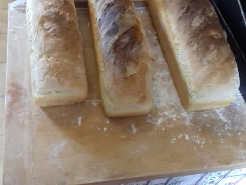 Polubijeli kruh