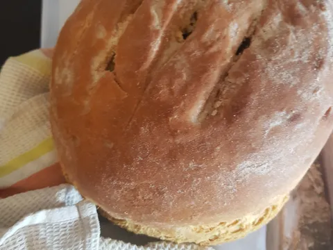 Domaci kruh