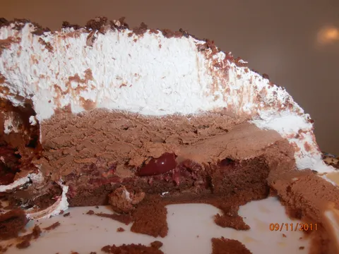 Cokoladna torta s visnjama (kao u "Torte i to") by cool-kuharica