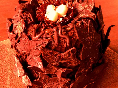 Zakamuflirana "Fantazija Cokoladna torta samo sa 2 sastojka" by eva-mil...