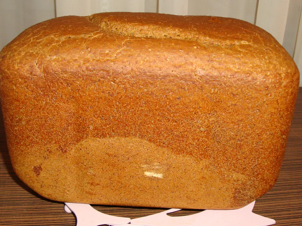 Raženi hleb iz ,,mini-pekarice&#8217;&#8217; I