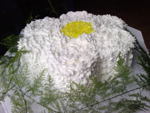 Torta Cvijet