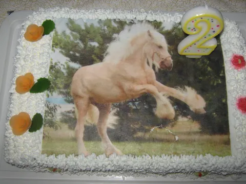 torta konjo