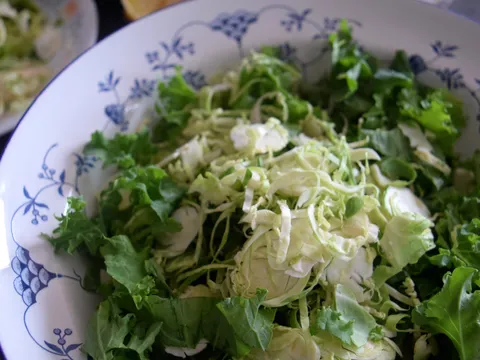 Salata od kovrcavog kelja i prokulica