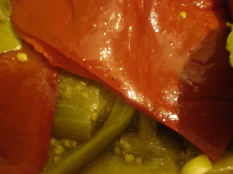 Brza salata od paprika i patlidžana