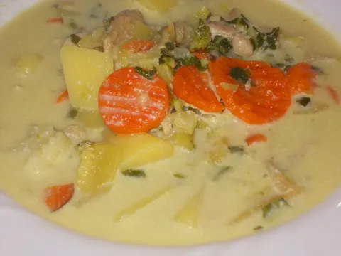 Pileca supica sa povrcem i vrhnjam :)