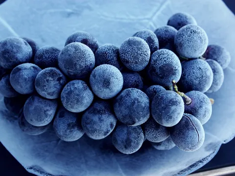 Smrznuto grožđe - male bobice sorbeta