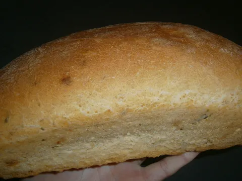 Kruh uz roštilj - BARBARA26