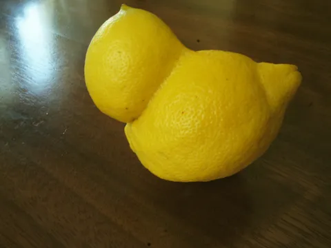 Limun s trbuhom