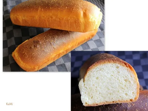 Obican hleb iliti kruh