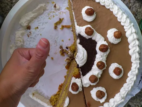 Lješnjak-čokolada torta by Masatera
