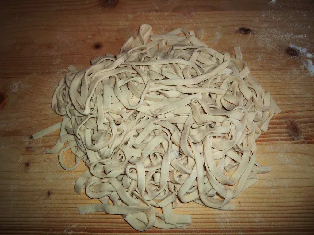 Udon japanska pasta