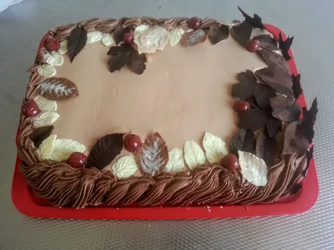 cokoladna torta ukrasavanje listovima od cokolade