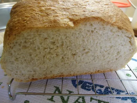 Brunin primorski kruh