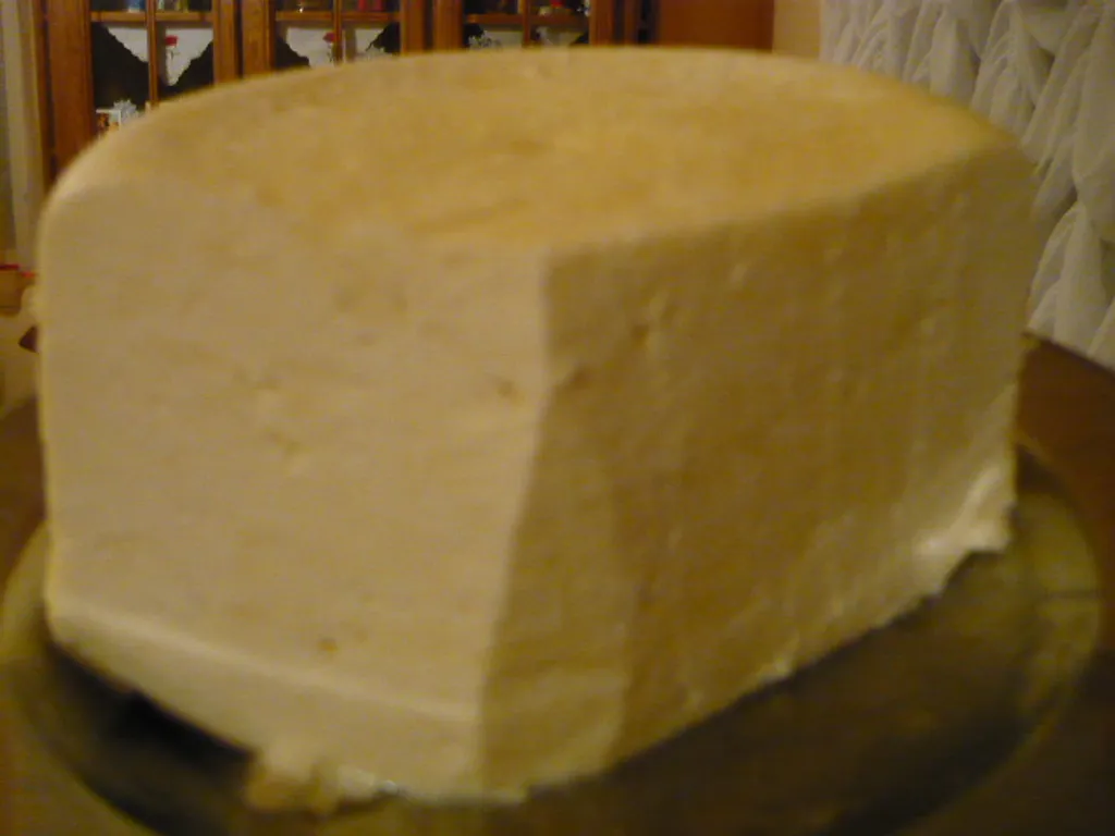 Domaći sir od svježeg mlijeka