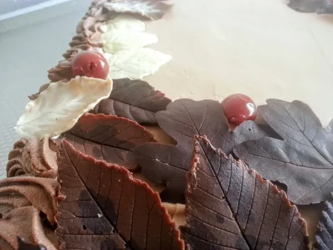 Listovi od cokolade