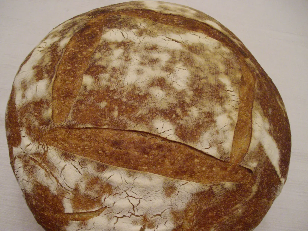Kruh sa divljim kvascem
