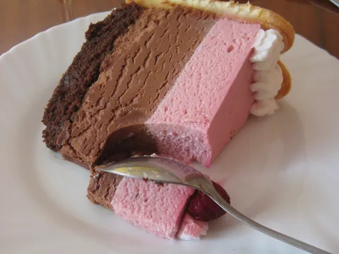 Penasta torta sa malinama i čokoladom