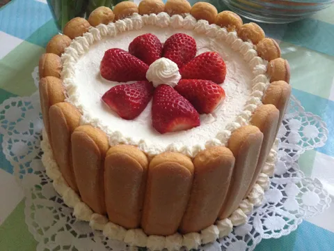 tiramisu- torta