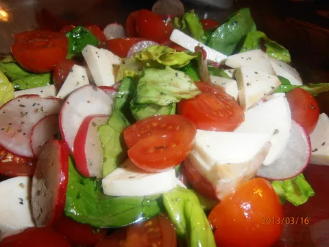 Salata sa mocarelom i povrcem