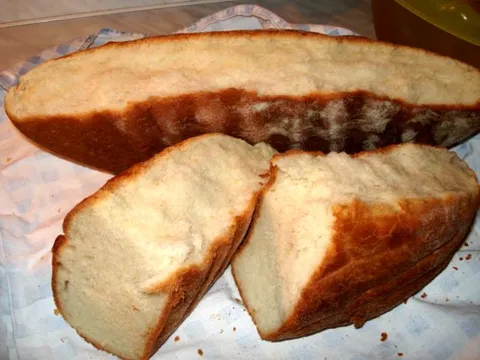 Domaći kruh od bijelog brašna