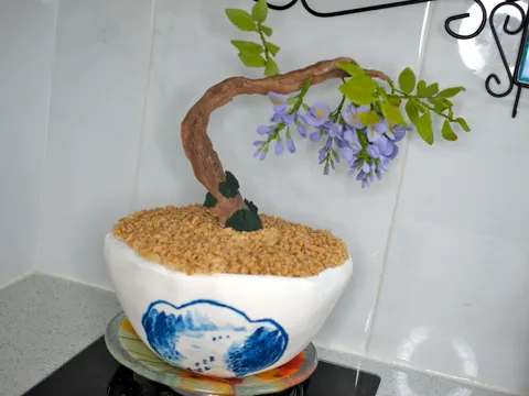 Bonsai wisteria torta