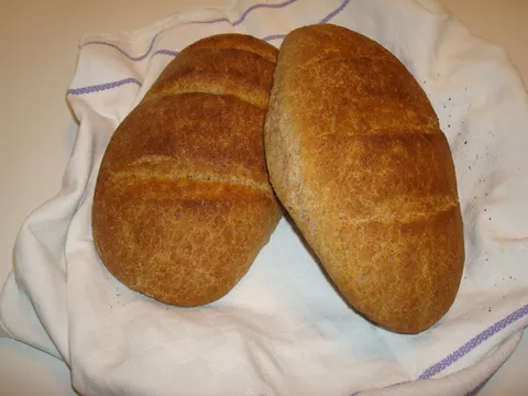 Integralni kruh