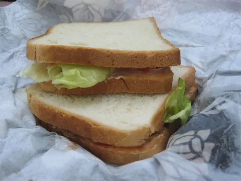Dijetalni sendviči