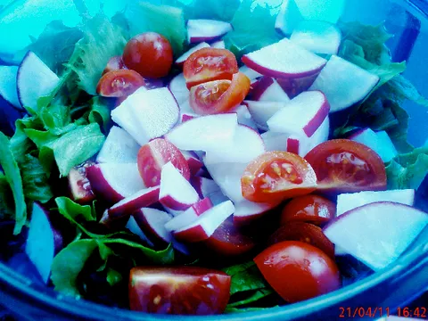 Moja proljetna salata