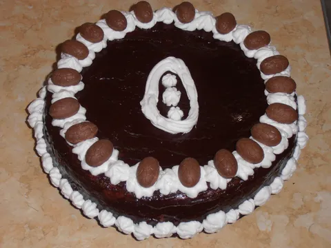 Čokoladna torta Novka