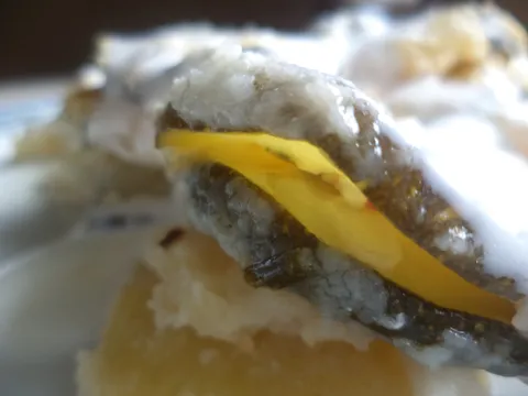 Musaka s tikvicama,krumpirom i lučnicom (umakom od maslaca i jogurta)
